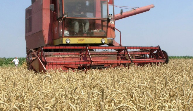 Afaceriste acuzate că au țepuit statul cu peste 4 milioane de euro - cereale1-1350575828.jpg
