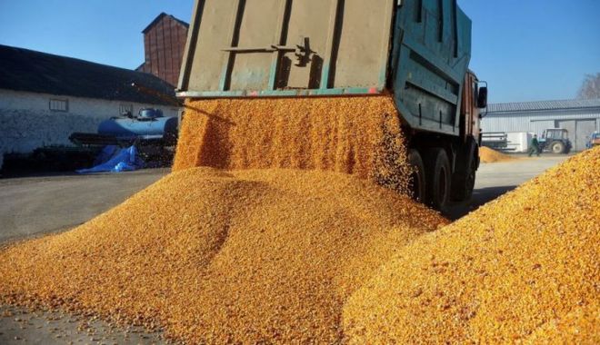 România nu mai este cel mai mare exportator european de grâu - cereale657543243457747x420-1706712766.jpg