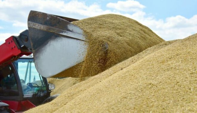 Pentru prima oară valoarea cerealelor produse în România a trecut pragul de 5 miliarde de euro