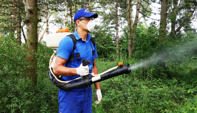 Primăria Cernavodă a dat startul acțiunii de combatere a insectelor - cernavoda2-1469542513.jpg