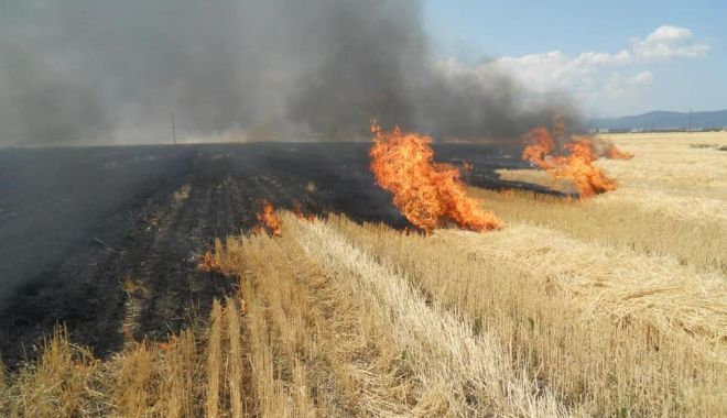 Primăria Cernavodă interzice utilizarea focului deschis pentru curăţarea terenurilor