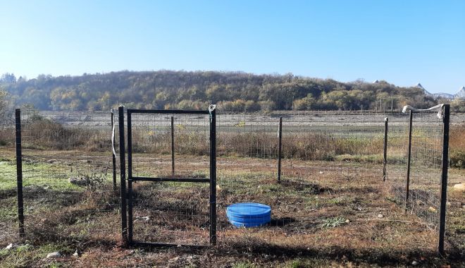 Autorităţile locale din Cernavodă, mulţumite de puţurile construite în oraş - cernavodaputuri-1636657537.jpg