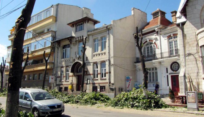 De ce au fost tăiați copacii din zona Cazinoului? Remus Cernea cere explicații Primăriei - cerneacopaci2n-1374588883.jpg