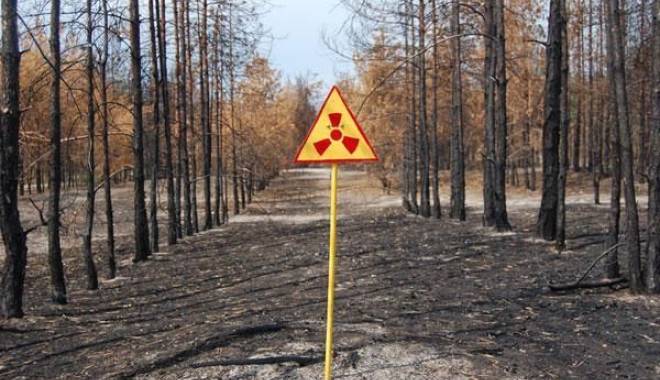 Ucraina / Incendiul de lângă centrala nucleară de la Cernobâl, stins în totalitate - cernobalucraina-1430565844.jpg