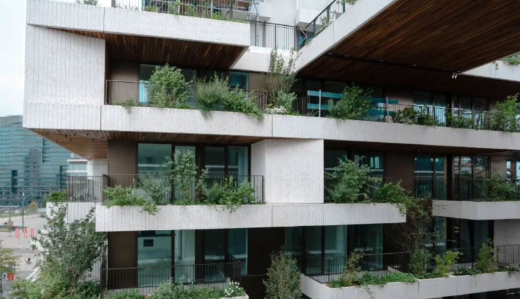 Cerşetorii români au băgat spaima în olandezi, după ce au ocupat abuziv mai multe apartamente de lux - cersetorii-romani-au-bagat-spaim-1740140108.jpg