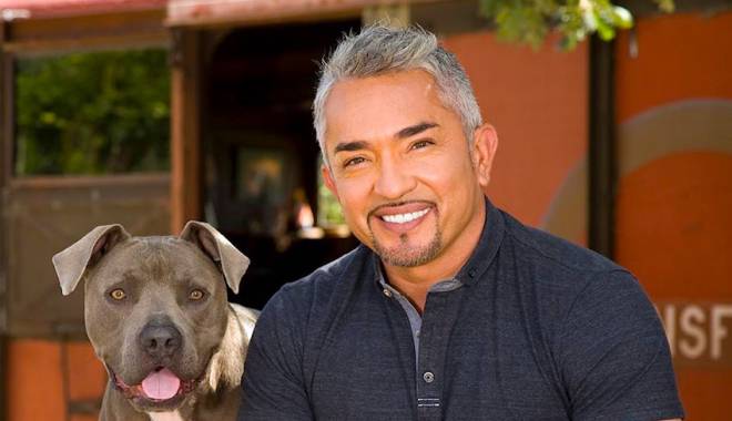 Dresorul de câini Cesar Millan, anchetat pentru cruzime față de animale - cesarmillan-1457791516.jpg