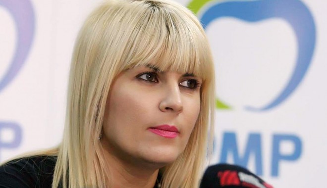 Ce spune Elena Udrea despre demisia deputatului Florin Gheorghe - cespuneelenaudrea-1407857136.jpg