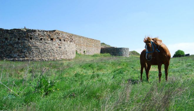 O cetate uitată în timp, Dinogeţia - cetateadinogetia-1633027360.jpg