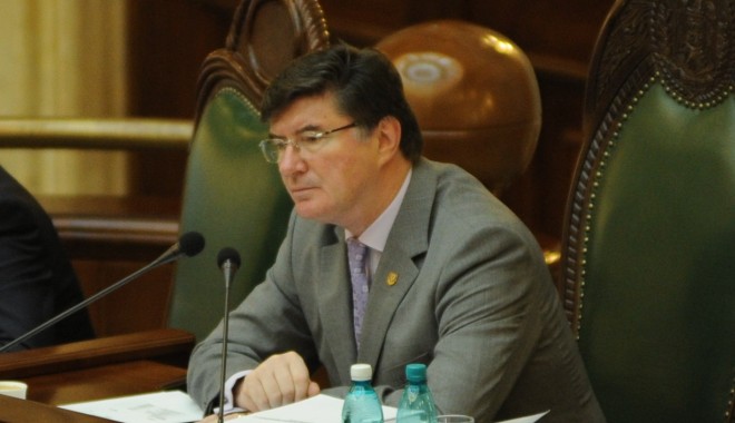 Întrunirea Comisiei pentru revizuirea Constituției, amânată pentru 3 februarie - chelaru-1390819148.jpg