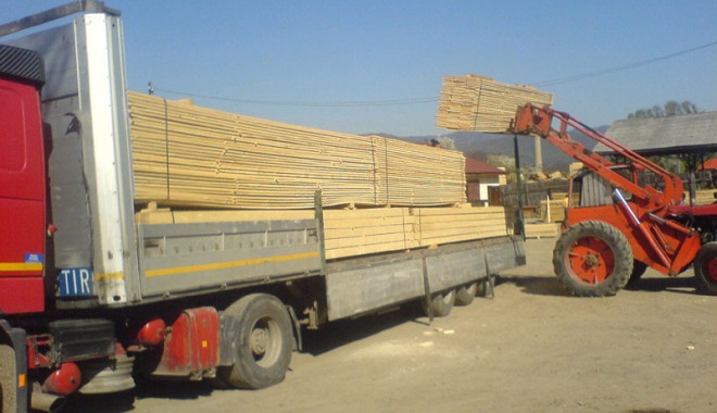 Reglare de conturi între afaceriști sirieni în portul Constanța - cherestea1-1340908855.jpg