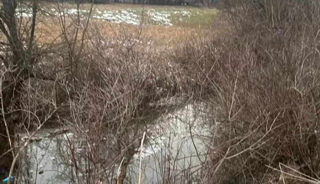 Anchetă după moartea celor doi frați înecaţi în pârâu. Familia a mai pierdut doi copii în trecut - chirpar-1770116480.webp