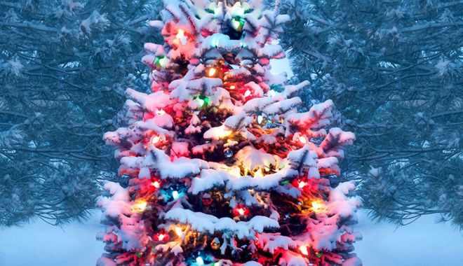 Peste 750.000 de români sunt născuți în ziua de Crăciun sau își sărbătoresc onomastica - christmastreegettyimages10727441-1671963117.jpg