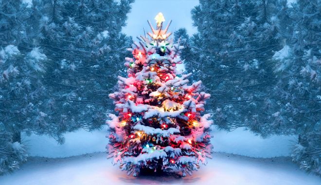 Superstiții în a doua zi de Crăciun 2023. Ce nu este bine să faci pe 26 decembrie - christmastreesgettyimages1072744-1703574406.jpg