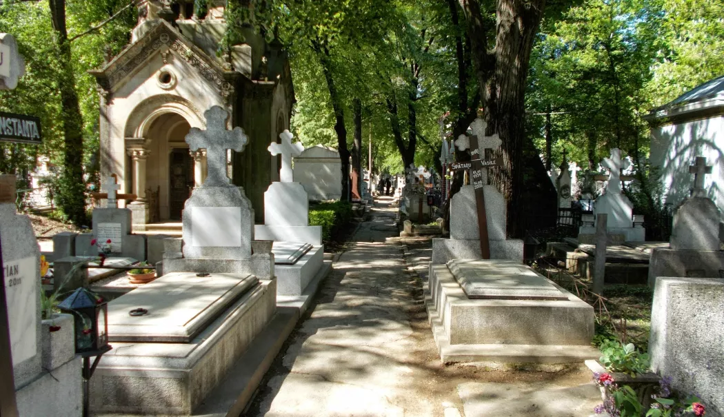Percheziții de amploare la Cimitirul Bellu. Un fals preot și alți trei suspecți, acuzați de înșelăciune