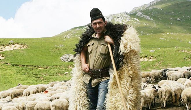 Ciobanul cu bâta lungă - ciobanul-1634468977.jpg