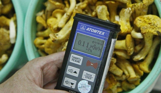Urme de cesiu radioactiv în ciupercile importate din Rusia și Belarus! - ciu-1512112045.jpg