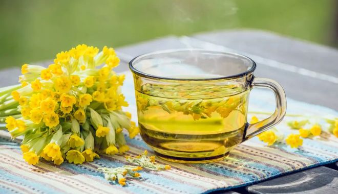 Ciuboțica cucului are acțiune antispastică şi sedativă - ciubotica-1711372482.jpg