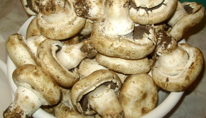 Ciuperci contaminate cu Cesiu-137 în Bulgaria - ciupercicontaminate-1316194150.jpg