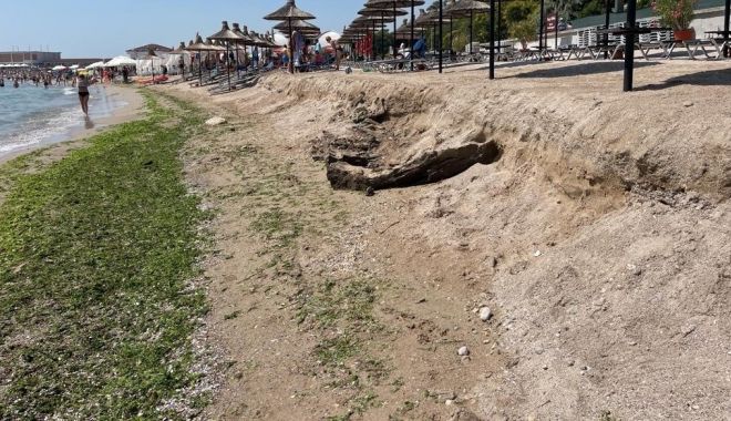 ABADL: Fenomenul de cliffing din Mamaia e complet normal. A mai fost întâlnit - clifiing-mamaia-1710325469.jpeg