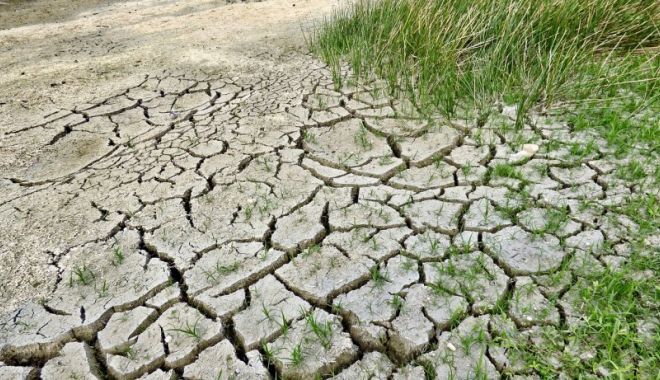 România, dată în judecată la CEDO din cauza schimbărilor climatice