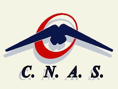 Noi membri în Consilul de Administrație al CNAS - cnas-1372400310.jpg