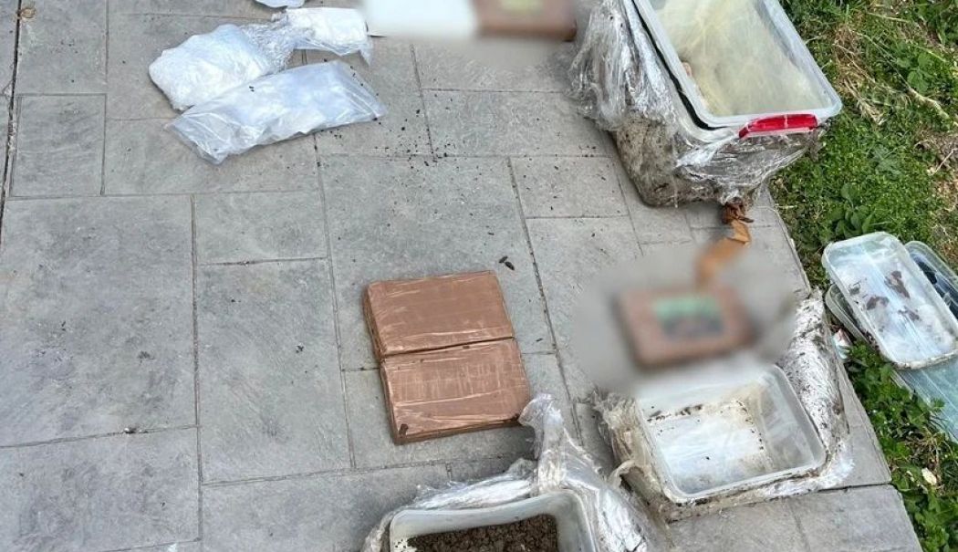 Cocaină în valoare de un milion de euro, găsită îngropată în curtea unei case