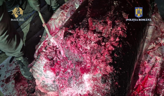 Trimiși în judecată pentru că au ascuns cocaină în butoaie cu pulpă de fructe - cocaina-in-fructe-1739985115.jpeg