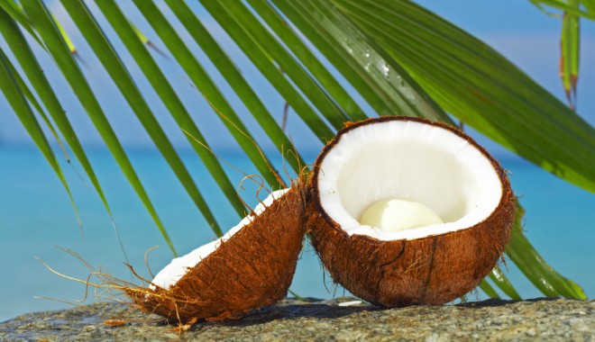 De ce este mai bun uleiul de cocos - coconutandpalm1-1324332949.jpg