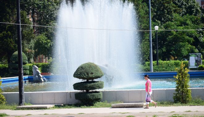 COD GALBEN de CANICULĂ şi VIJELII, la Constanţa - cod-1624606087.jpg