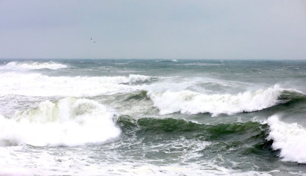 Cod portocaliu de vânt puternic în Dobrogea - cod-portocaliu-vant-1735213304.jpg