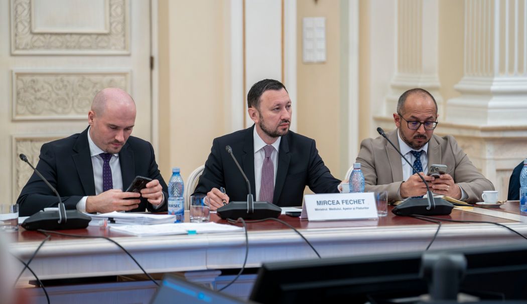 Amendamentele pentru noul Cod Silvic au fost votate în Senat - cod-silvic-1713984703.jpg