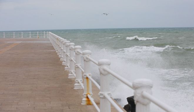 Cod galben de vânt la Constanța - codgalbenvant-1650180425.jpg