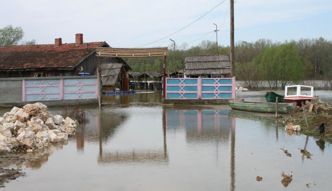 COD PORTOCALIU de FURTUNI şi PLOI ABUNDENTE, la Constanţa - codportocaliu-1625215181.jpg