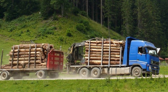 Deputații au respins cererea de reexaminare a codului sivic - codulsilvic4655x360-1431429550.jpg