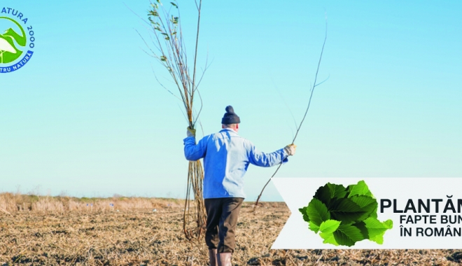 Colaborare pentru natură: Coaliția Natura 2000 și Plantăm fapte bune în România au devenit parteneri - colaborare-1502196994.jpg