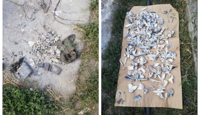 Cazul Caracal / Dosar penal în legătură cu modul în care INML a făcut expertiza ADN - colajoase-1568721610.jpg