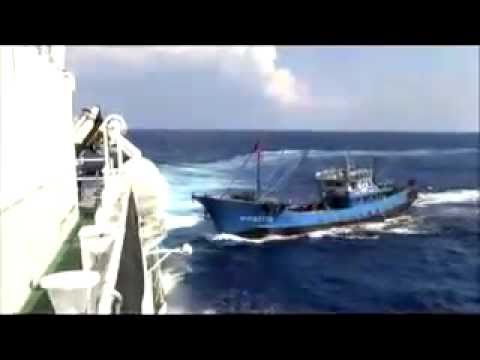 Coliziune între un cargou și un vas pescăresc - coliziune-1444146029.jpg