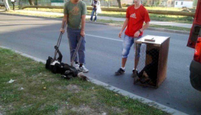 Colțul constănțeanului supărat - coltcteansup-1403882047.jpg