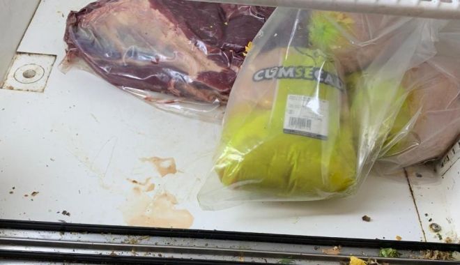 Comandament estival 2019 pe litoral. Medicii sanitar-veterinari împânzesc stațiunile - comandamentlitoral1-1561442399.jpg