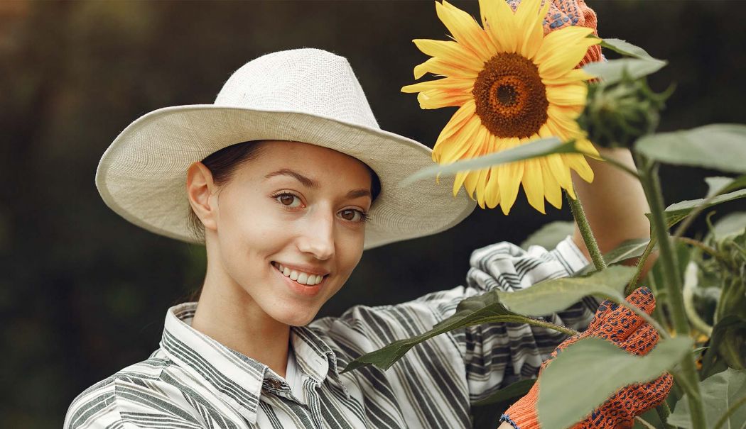 Combaterea eficientă a buruienilor în culturile de floarea-soarelui