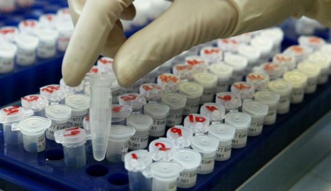De astăzi încep testările ADN în alimente care conțin carne de vită - comisiaeuropeanarecomandaefectua-1362128402.jpg