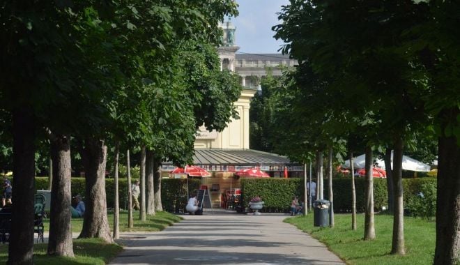 Comisia Europeană vrea împăduriri masive în blocul comunitar - comisiaeuropeanavreasafieplantat-1626716303.jpg