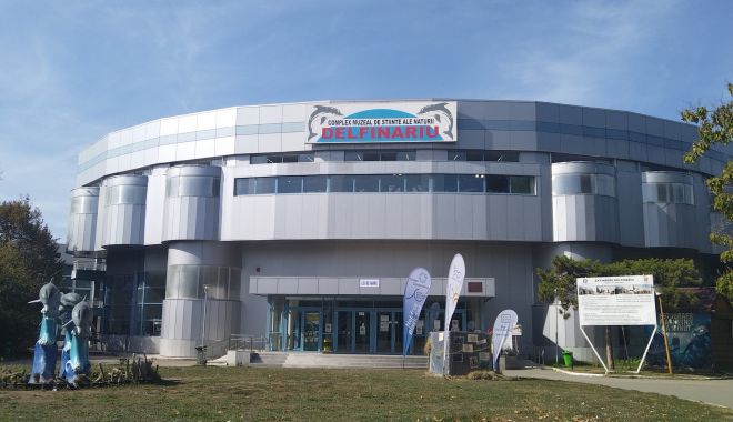 Complexul Muzeal, o altă alternativă de petrecere a timpului liber - complex-1668191219.jpg