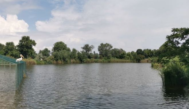 Complexul Muzeal de Științe ale Naturii va deveni o pepinieră pentru speciile din Dobrogea - complexmuzeal-1661253416.jpg