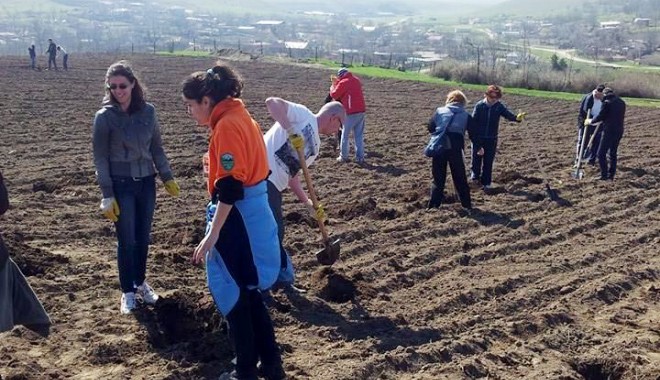 Comuna Peștera va avea o pădure de salcâmi pe o suprafață  de șapte hectare - comunapestera-1395583176.jpg