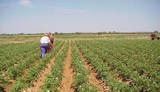 Condiții de eligibilitate relaxate, pentru plățile directe în agricultură - conditiideeligibilitate-1487955290.jpg