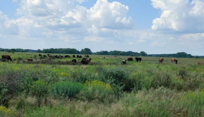 Condiţii stricte pentru vizitarea traseelor din Pădurea Letea şi Pădurea Caraorman - conditiistricte-1623577683.jpg