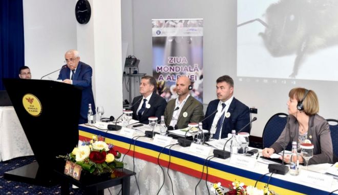 Conferință la nivel înalt dedicată albinelor și apiculturii - conferintalanivelinaltdedicataal-1558881975.jpg