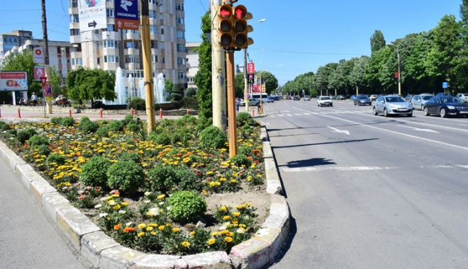 Primăria Constanța face inventarul florilor plantate. Ce au descoperit - constantasefuraflorile-1495646778.jpg