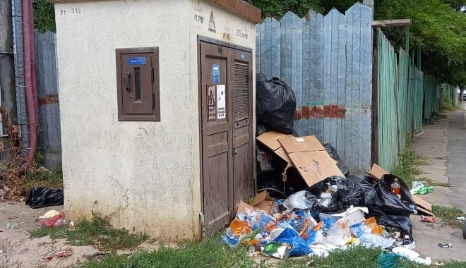 Constănțenii care aruncă gunoiul pe domeniul public, sancţionaţi drastic de poliţiştii locali - constanteniicarearunca-1630928914.jpg